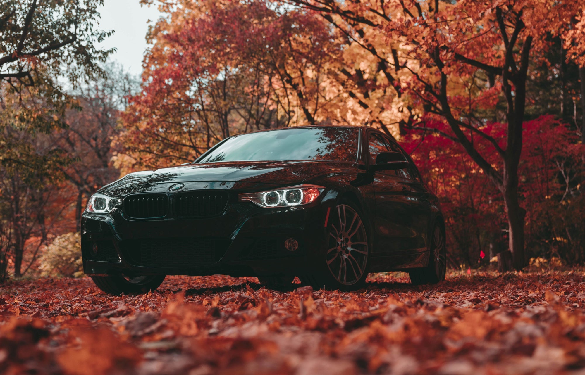 Gear Up for Fall: Ultimate Guide to Preparing Your Car for Autumn 2023 in Canada