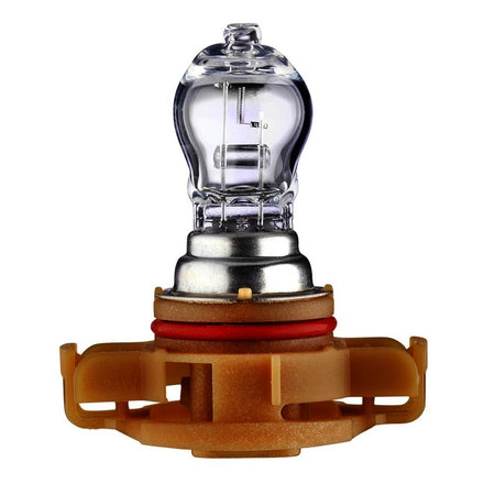 HELLA Bulb - PS24W - Standard - 12V - 24W - Socket Type: PG20/3 - Box - Quantity: 1 - 223569011