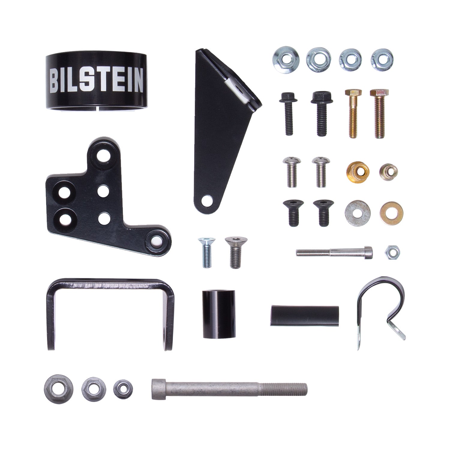 Bilstein 25-331066 B8 8100 (DSA) - Suspension Shock Absorber
