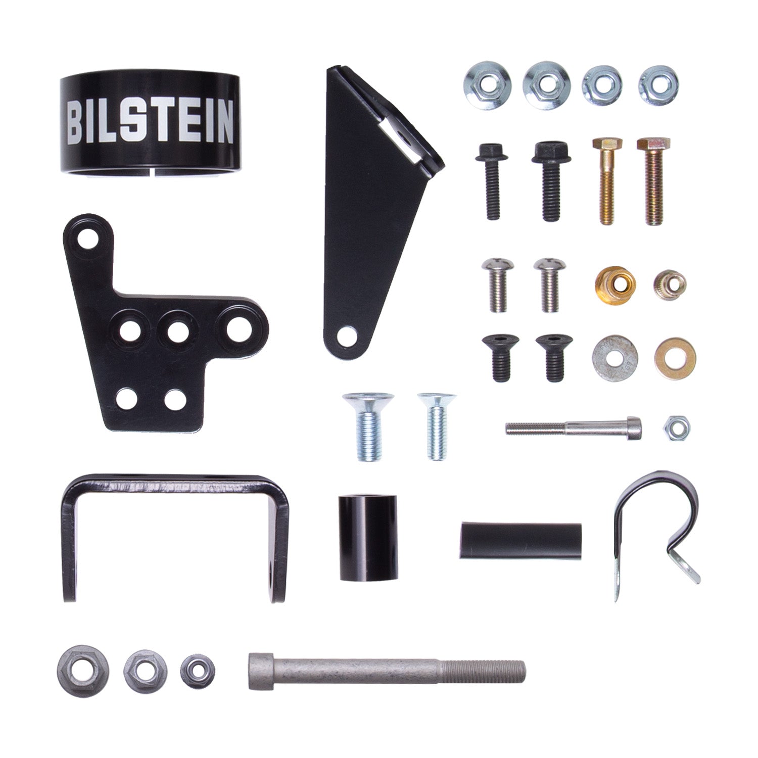 Bilstein 25-331080 B8 8100 (DSA) - Suspension Shock Absorber