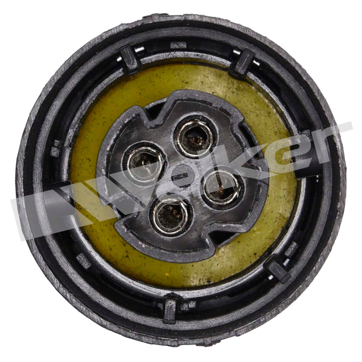 Walker Products Oxygen Sensor - 250-24021