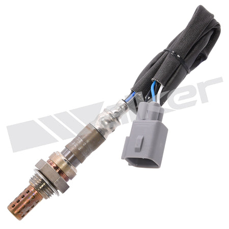 Walker Products Oxygen Sensor - 250-24226