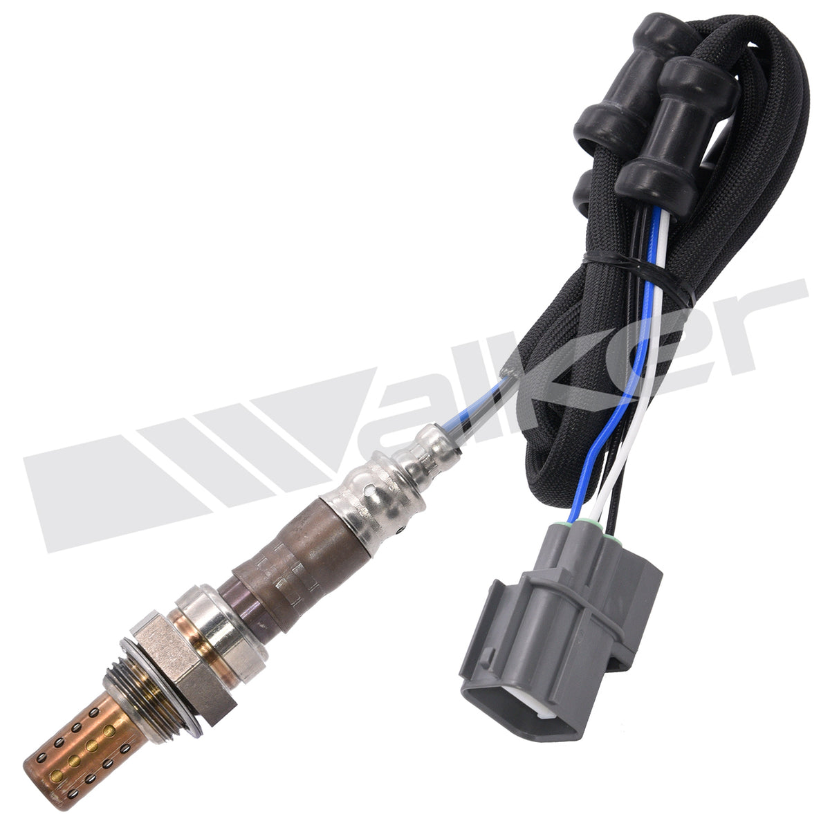 Walker Products Oxygen Sensor - 250-24348
