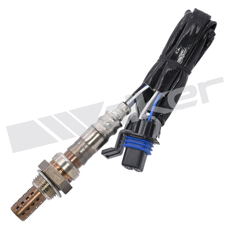 Walker Products Oxygen Sensor - 250-24350