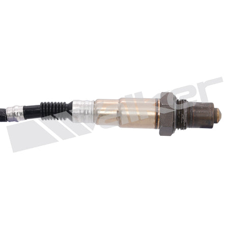 Walker Products Oxygen Sensor - 250-24428