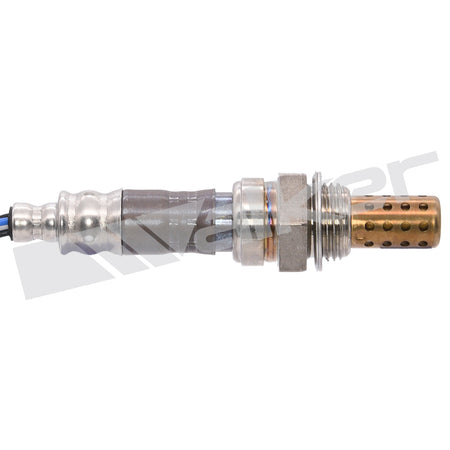 Walker Products Oxygen Sensor - 250-24436
