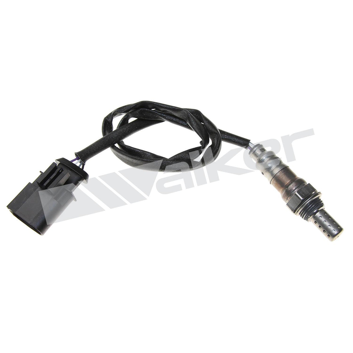 Walker Products Oxygen Sensor - 250-24538