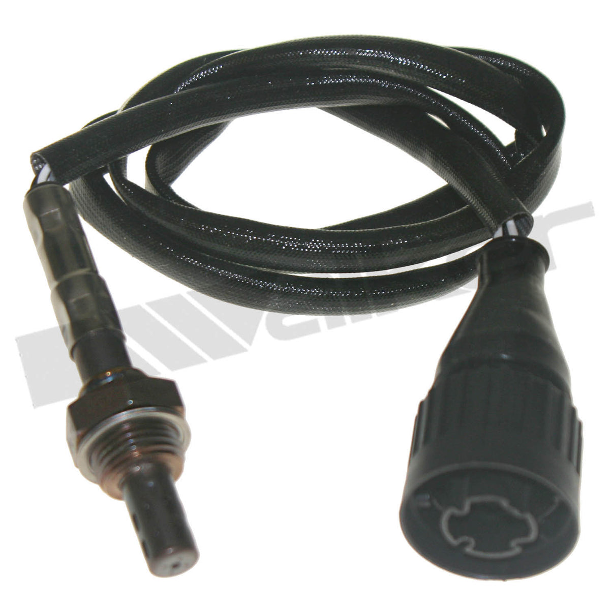 Walker Products Oxygen Sensor - 250-24824