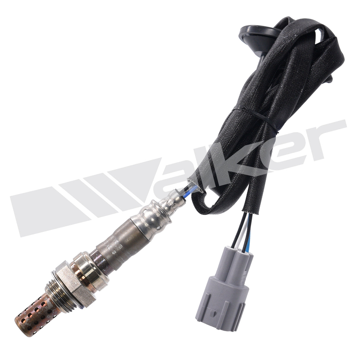 Walker Products Oxygen Sensor - 250-24840