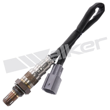 Walker Products Oxygen Sensor - 250-24961