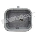 Walker Products Engine Oil Pressure Switch - 256-1270