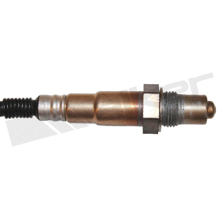 Walker Products Oxygen Sensor - 350-34368