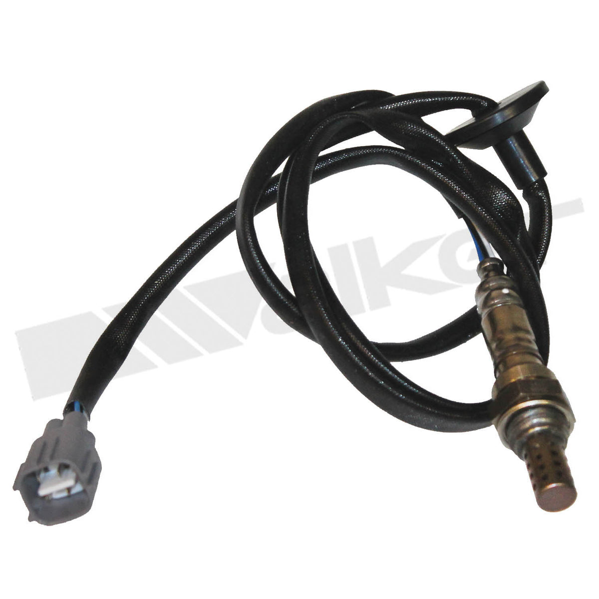 Walker Products Oxygen Sensor - 350-34503