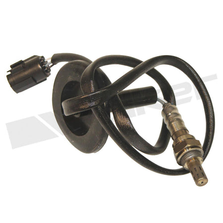 Walker Products Oxygen Sensor - 350-34519