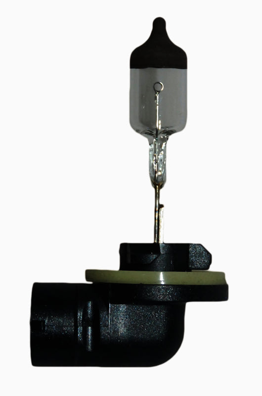 HELLA Fog Light Bulb - 896