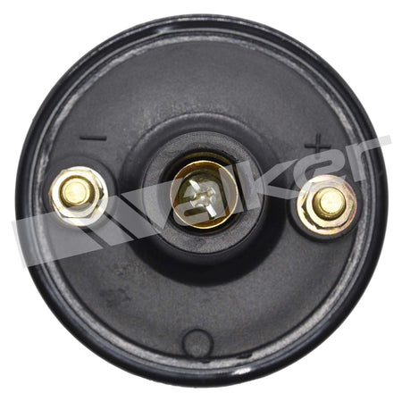 Walker Products ThunderSpark Ignition Coil - 920-1041