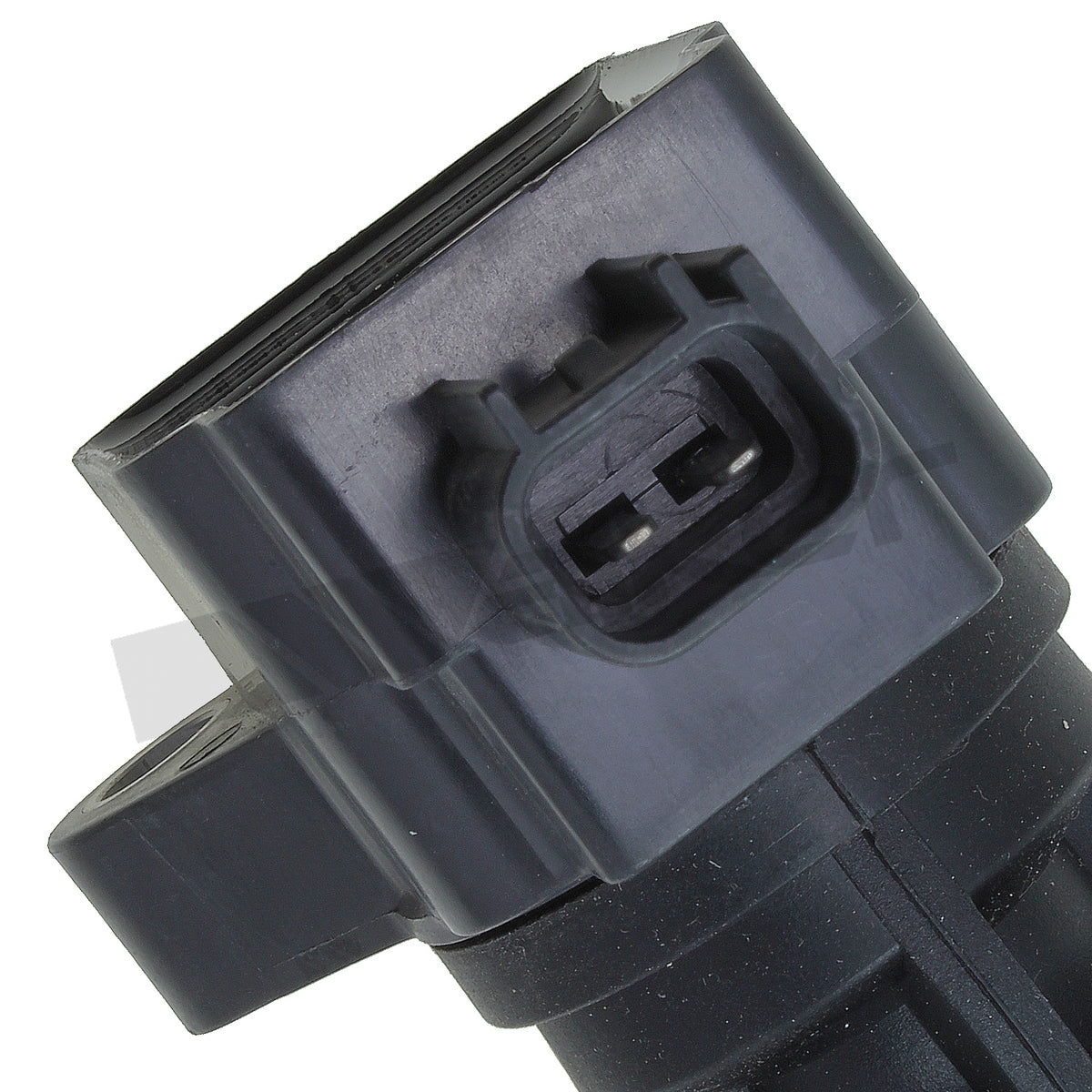 Walker Products ThunderSpark Ignition Coil - 921-2096