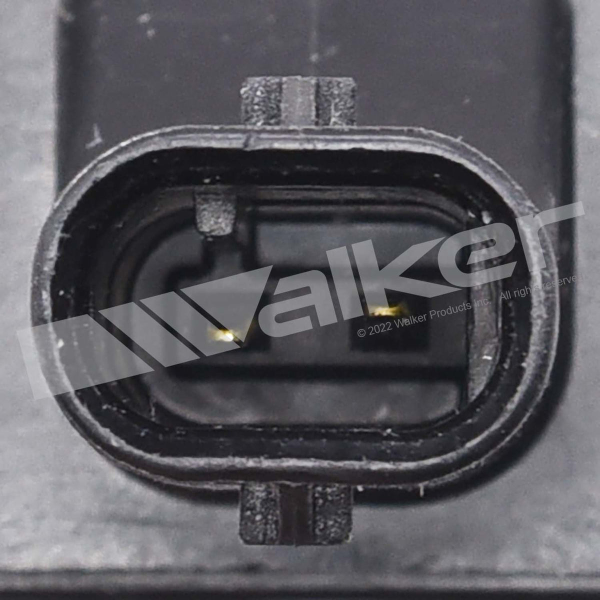 Walker Products ThunderSpark Ignition Coil - 921-2282