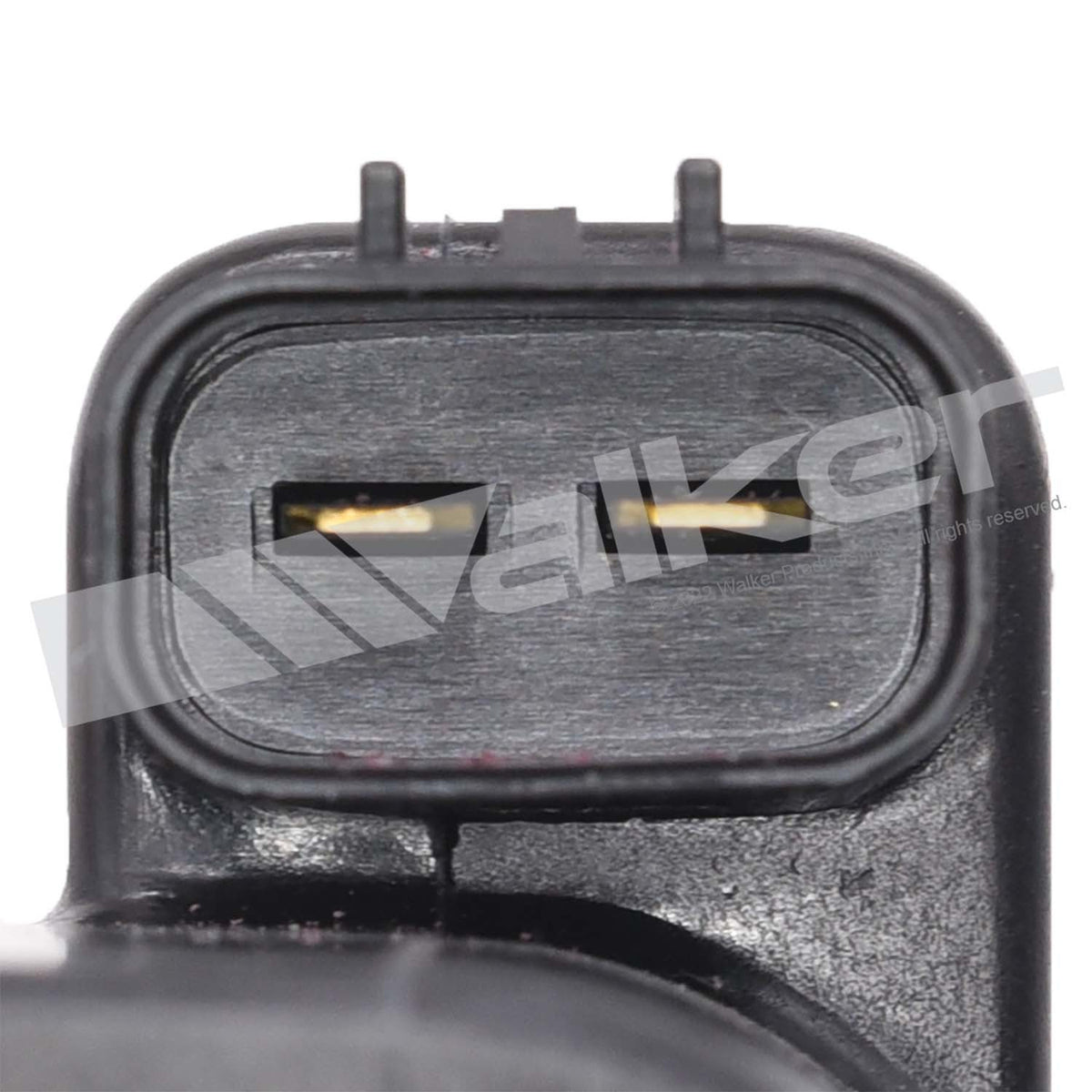 Walker Products ThunderSpark Ignition Coil - 921-2334