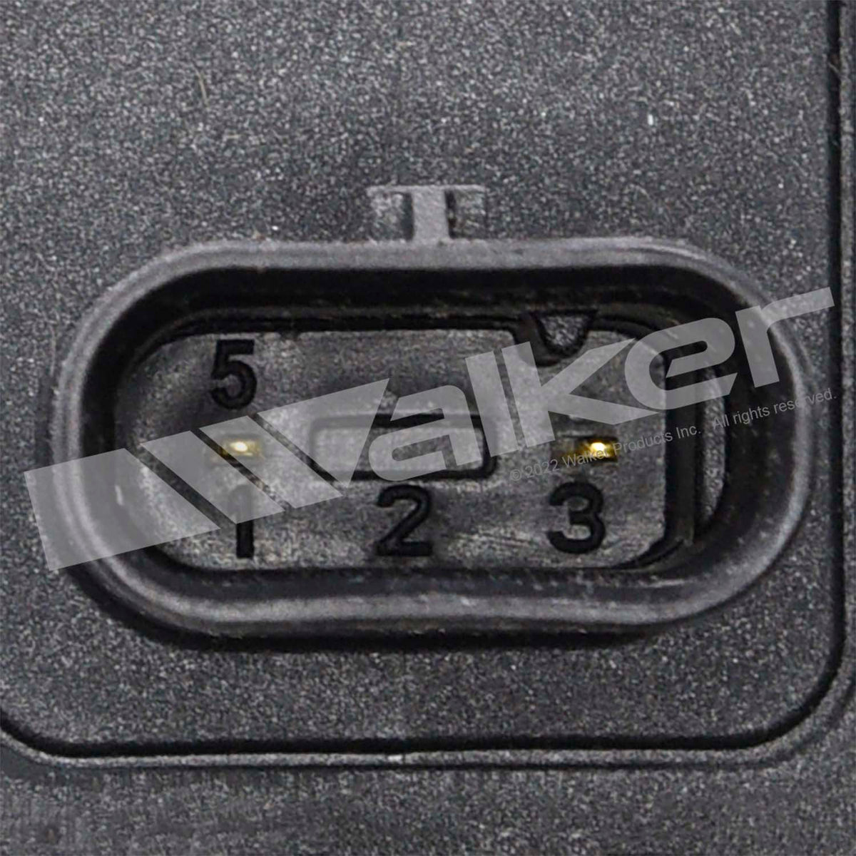Walker Products ThunderSpark Ignition Coil - 921-2404