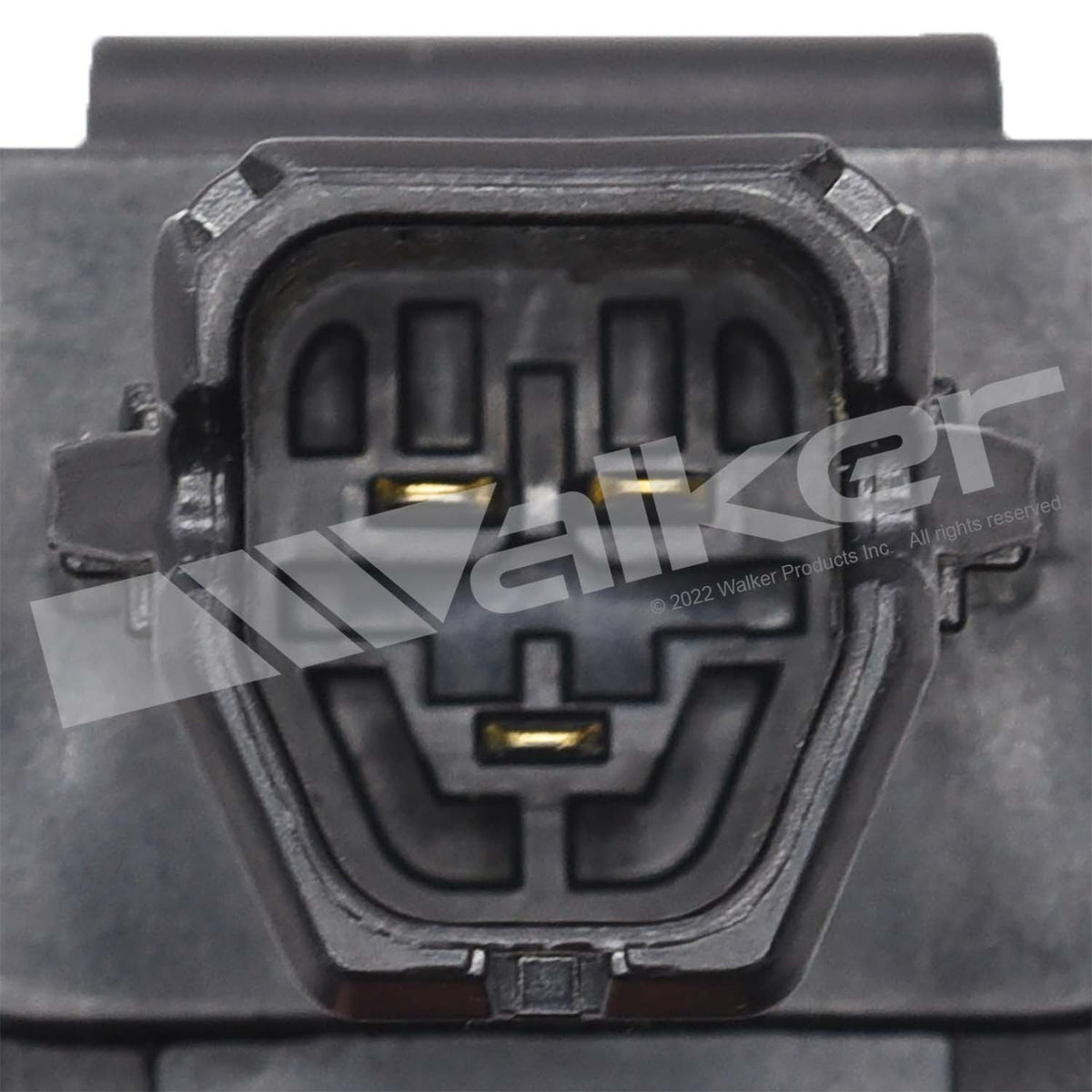 Walker Products ThunderSpark Ignition Coil - 921-2438