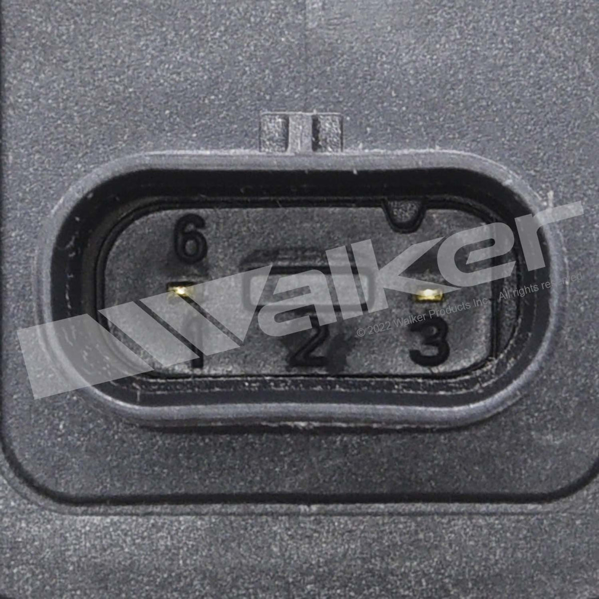 Walker Products ThunderSpark Ignition Coil - 921-2445