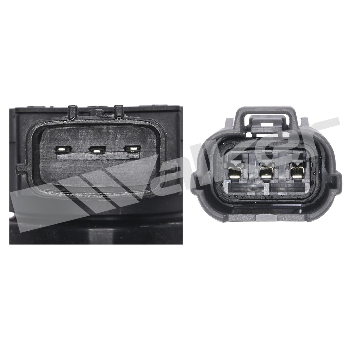 Walker Products ThunderSpark Ignition Coil - 921-92020