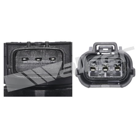 Walker Products ThunderSpark Ignition Coil - 921-92020