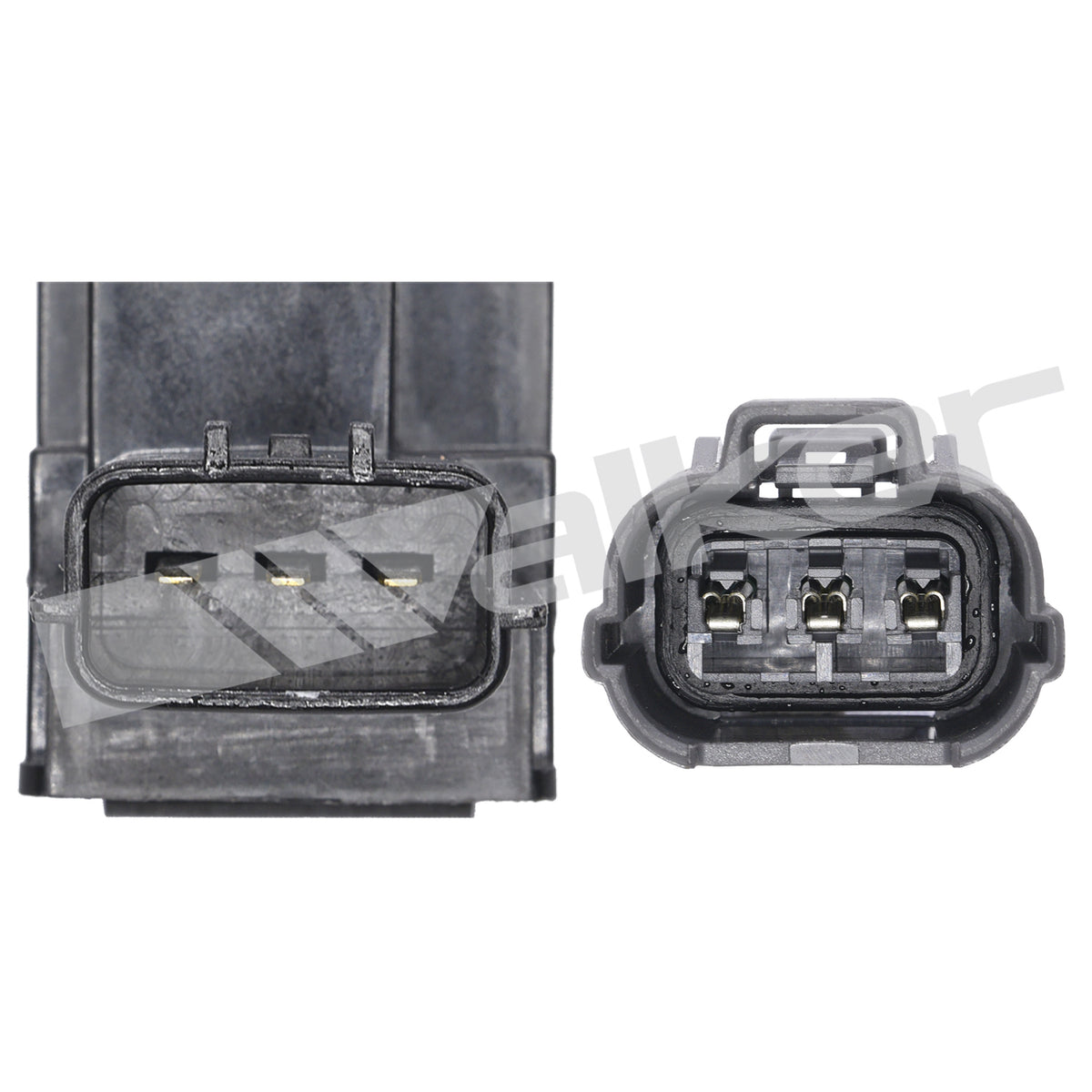 Walker Products ThunderSpark Ignition Coil - 921-92022