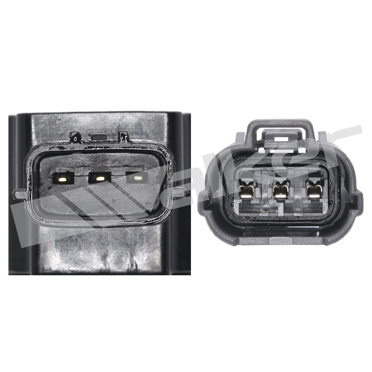 Walker Products ThunderSpark Ignition Coil - 921-92024