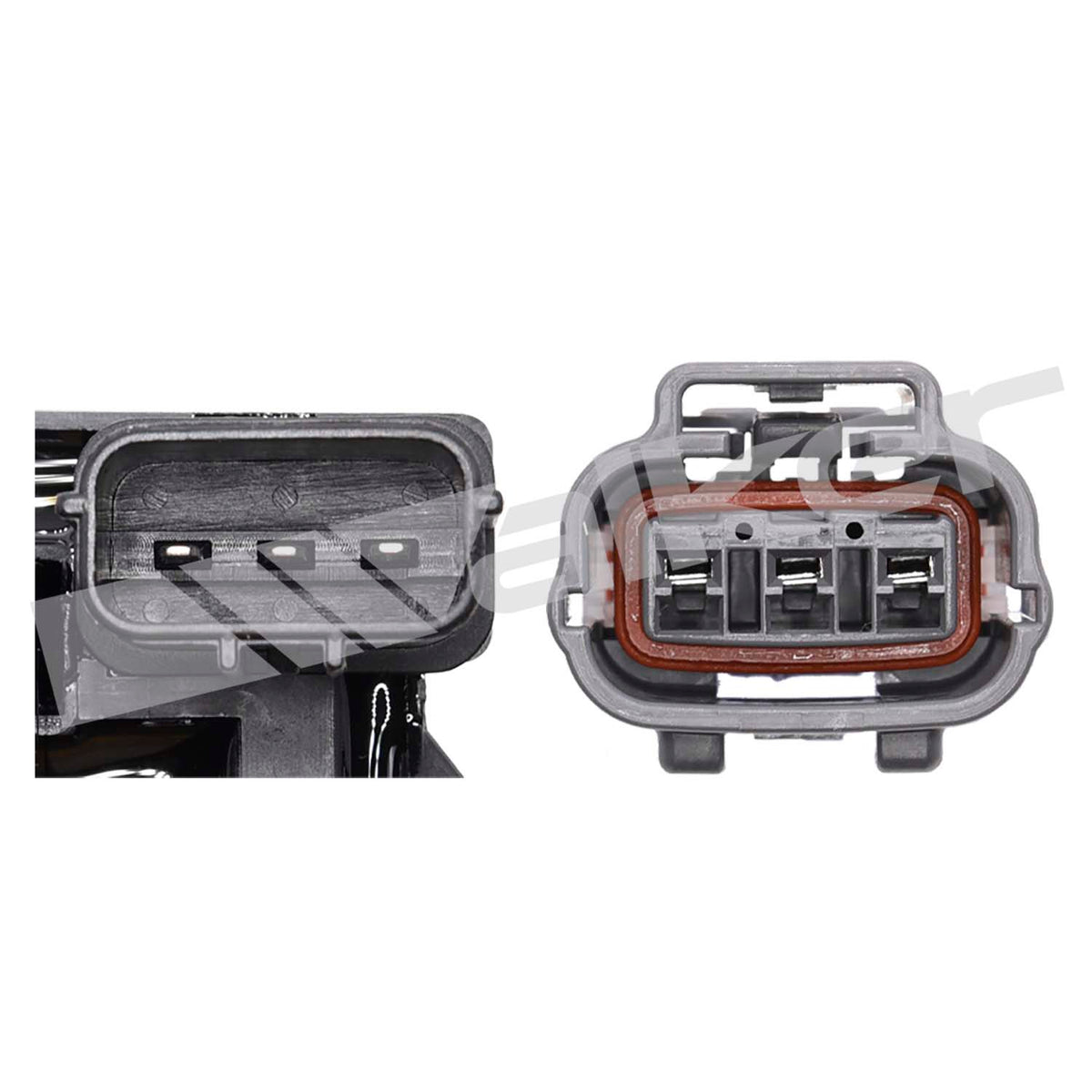 Walker Products ThunderSpark Ignition Coil - 921-92081