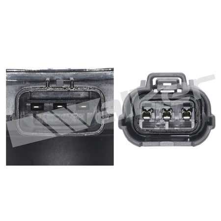 Walker Products ThunderSpark Ignition Coil - 921-92086
