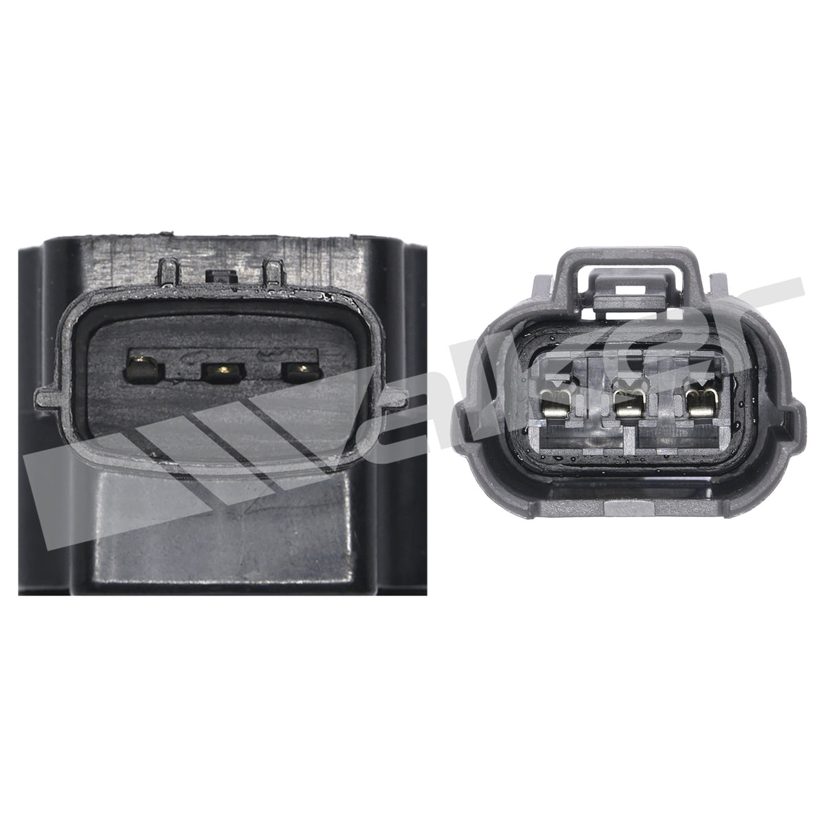 Walker Products ThunderSpark Ignition Coil - 921-92128