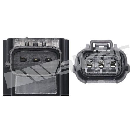 Walker Products ThunderSpark Ignition Coil - 921-92128