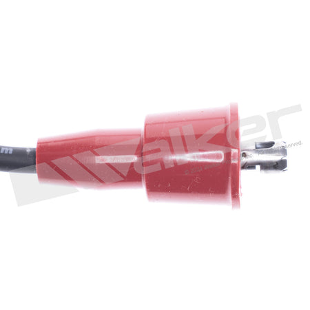 Walker Products ThunderCore PRO Spark Plug Wire Set - 924-1002