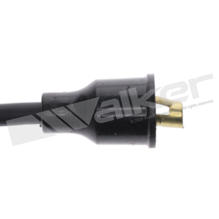 Walker Products ThunderCore PRO Spark Plug Wire Set - 924-1169