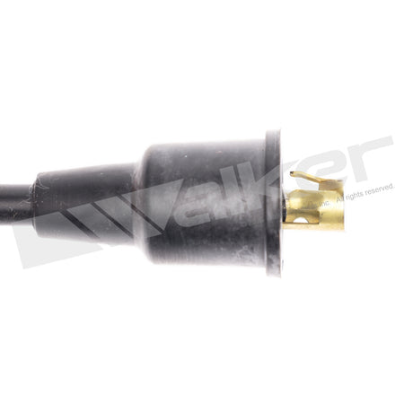 Walker Products ThunderCore PRO Spark Plug Wire Set - 924-1213