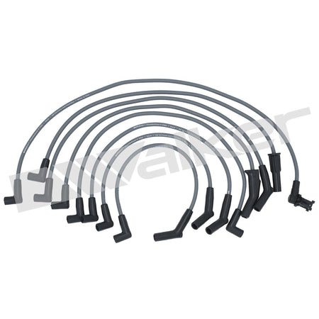 Walker Products ThunderCore PRO Spark Plug Wire Set - 924-1332