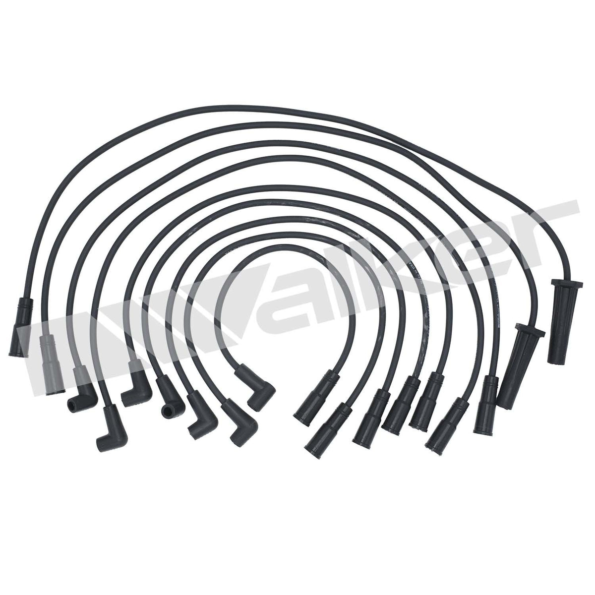 Walker Products ThunderCore PRO Spark Plug Wire Set - 924-1425
