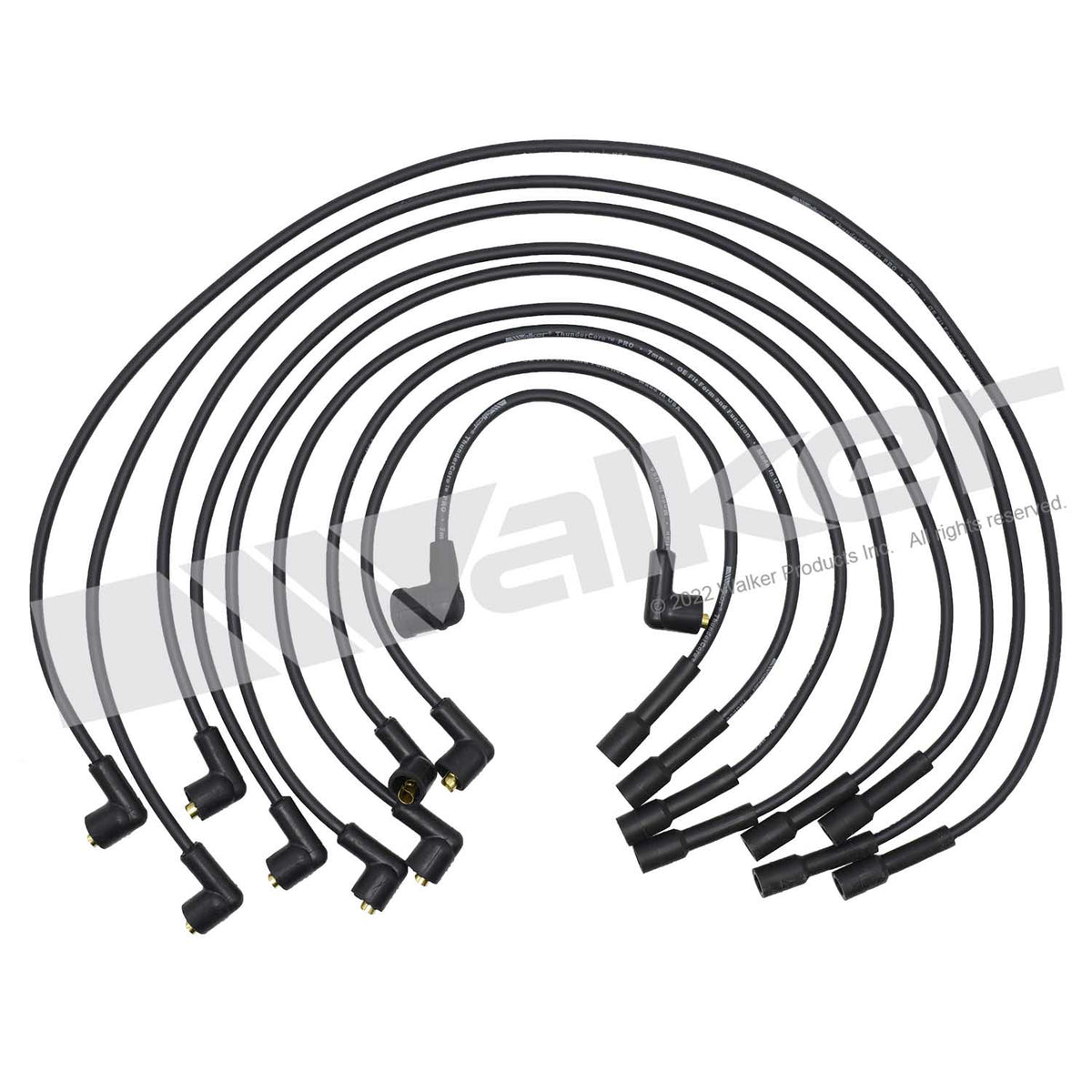 Walker Products ThunderCore PRO Spark Plug Wire Set - 924-1834