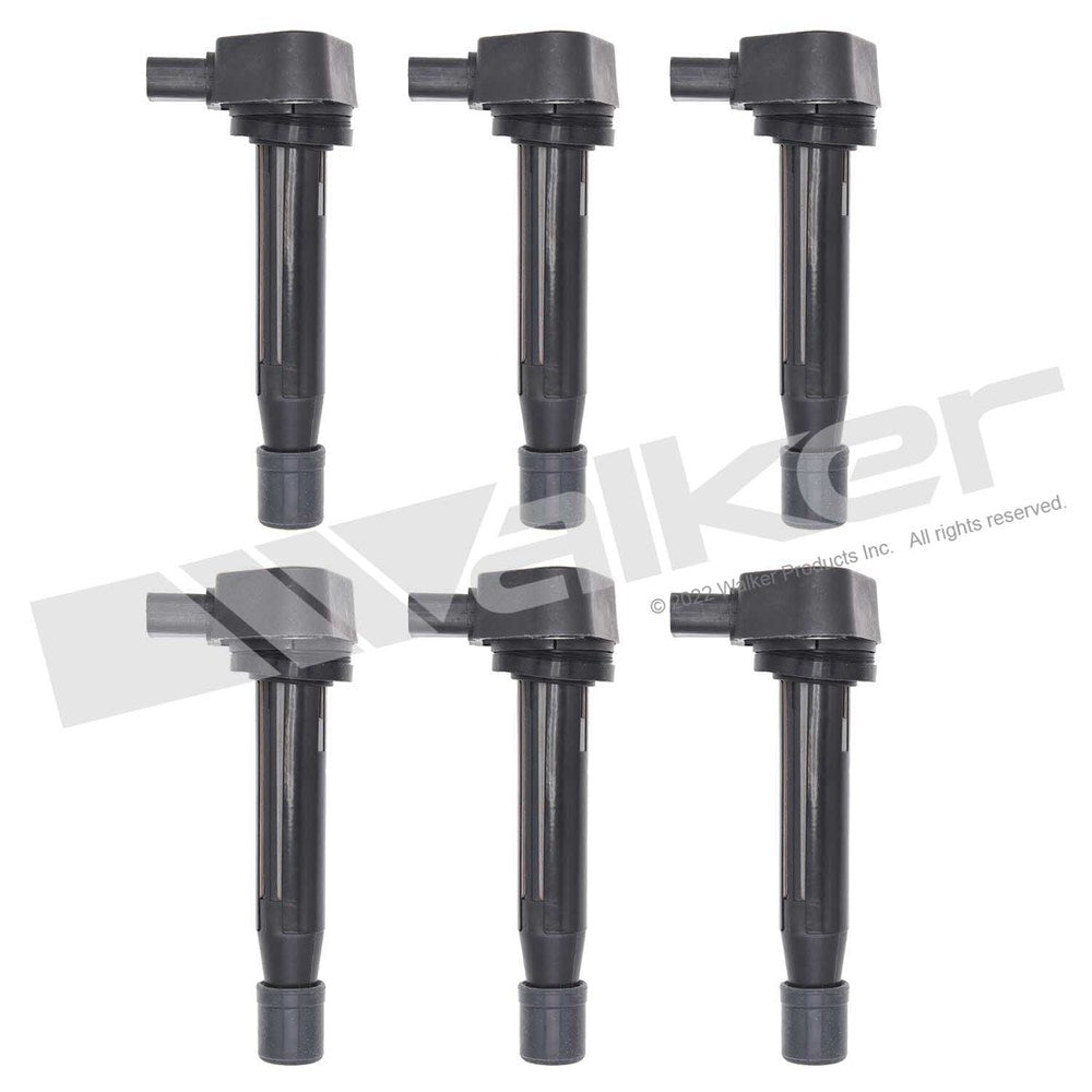 Walker Products ThunderSpark Ignition Coil Set - 928-4064-6