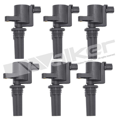Walker Products ThunderSpark Ignition Coil Set - 928-4073-6