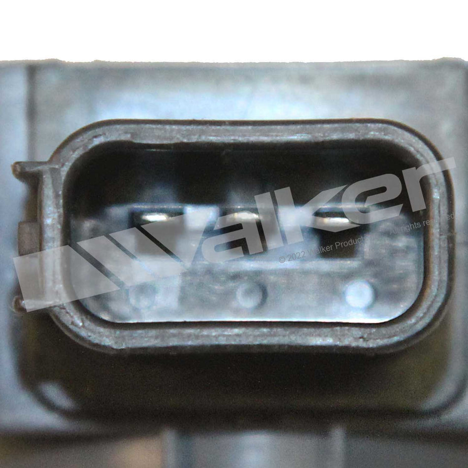 Walker Products ThunderSpark Ignition Coil Set - 928-4074-4