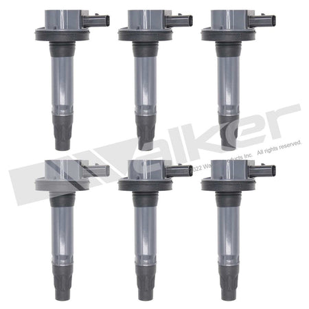 Walker Products ThunderSpark Ignition Coil Set - 928-4102-6