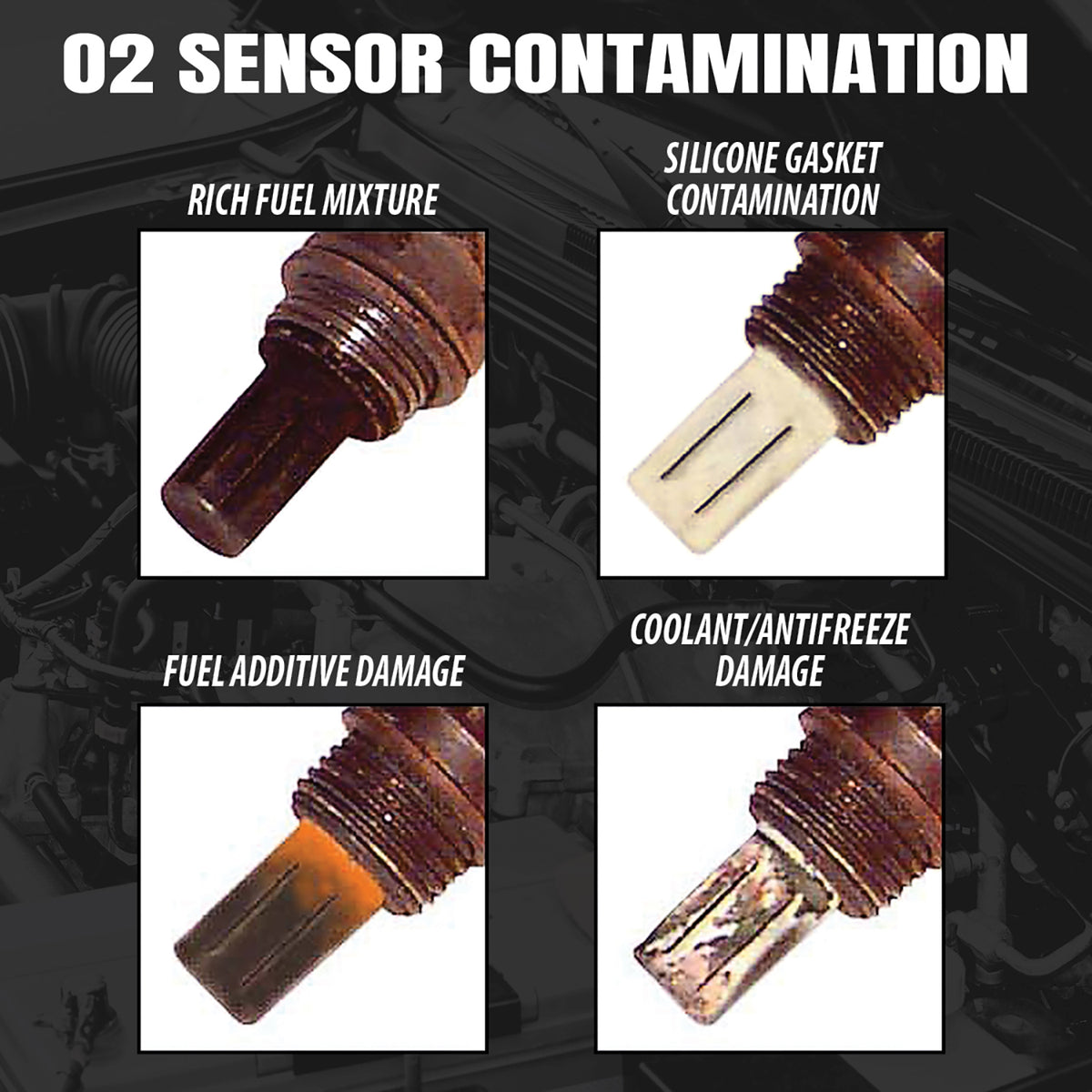 Walker Products Oxygen Sensor - 350-34404