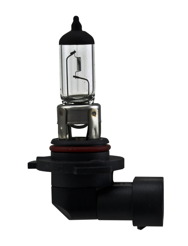 HELLA Fog Light Bulb - H10TB