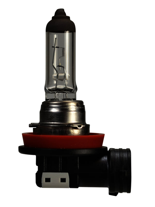 HELLA Fog Light Bulb - H16