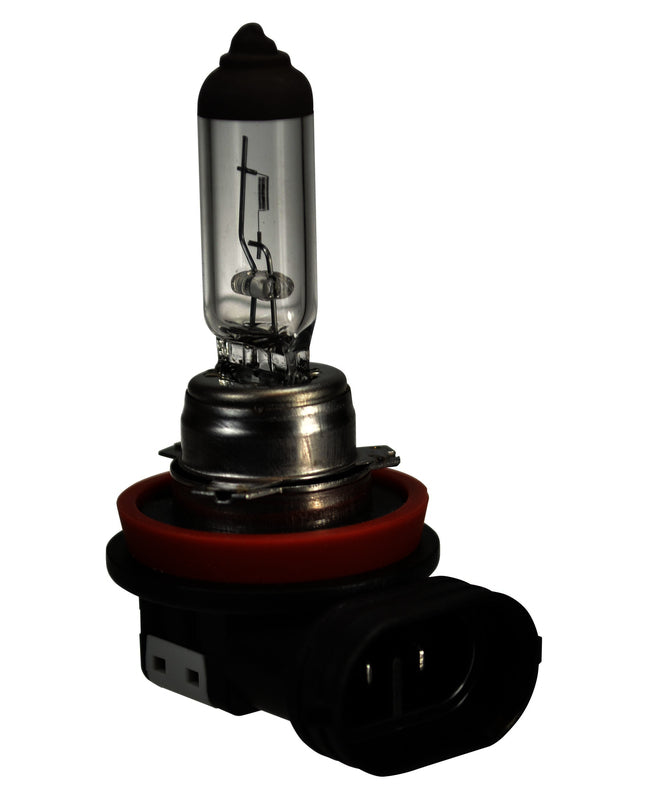 HELLA Fog Light Bulb - H16