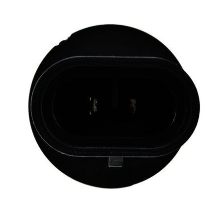 HELLA Optilux Fog Light Bulb - H71071192
