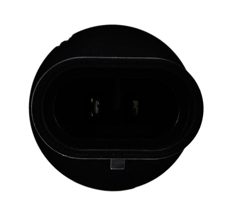 HELLA Optilux Fog Light Bulb - H71071192